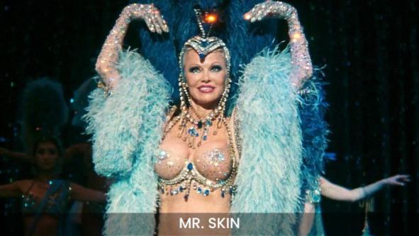 Porn or Not? Everything You Should Know About Mr. Skin Celebrity Porn