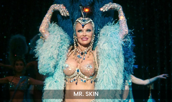 Porn or Not? Everything You Should Know About Mr. Skin Celebrity Porn