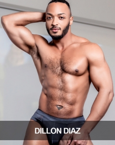 Dillon Diaz